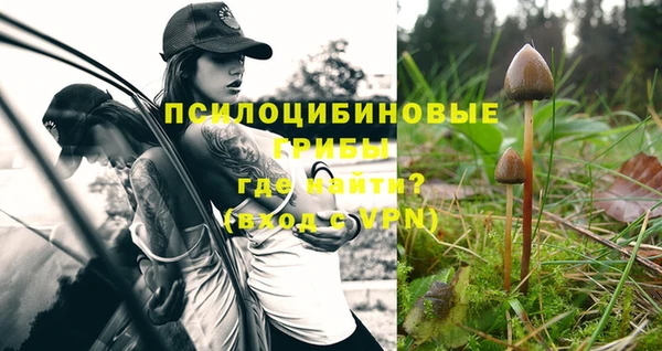MESCALINE Алзамай