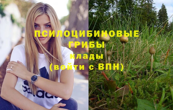 ALPHA-PVP Алексеевка