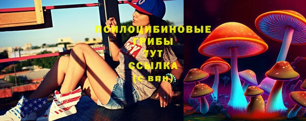 ALPHA-PVP Алексеевка