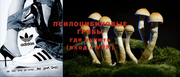 MESCALINE Алзамай